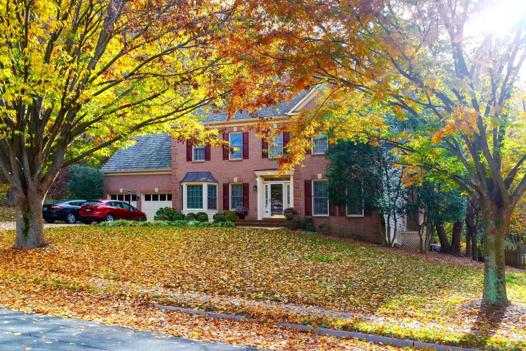 Family home surrounded by colourful autumn trees and fallen leaves